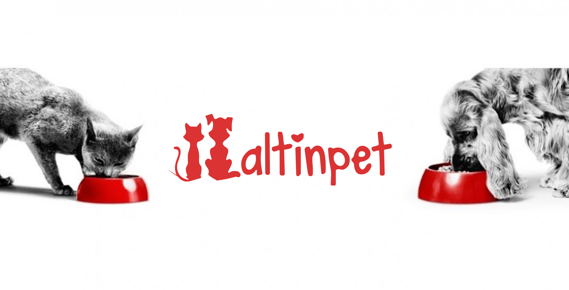 Altinpet